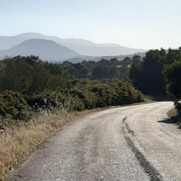 CORBEZZOLI